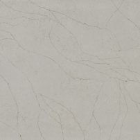 macchiato A. Magnus landing